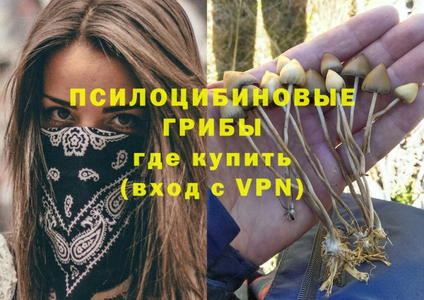 стафф Дубовка