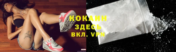 стафф Дубовка