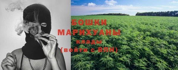 прущая мука Дубна