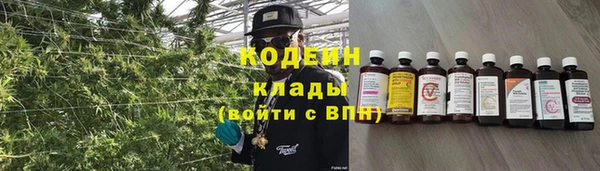 стафф Дубовка