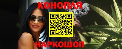 прущие грибы Пенза