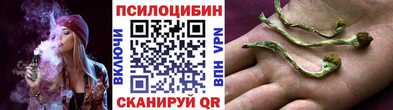 hydra tor  Холмск  Галлюциногенные грибы MAGIC MUSHROOMS 