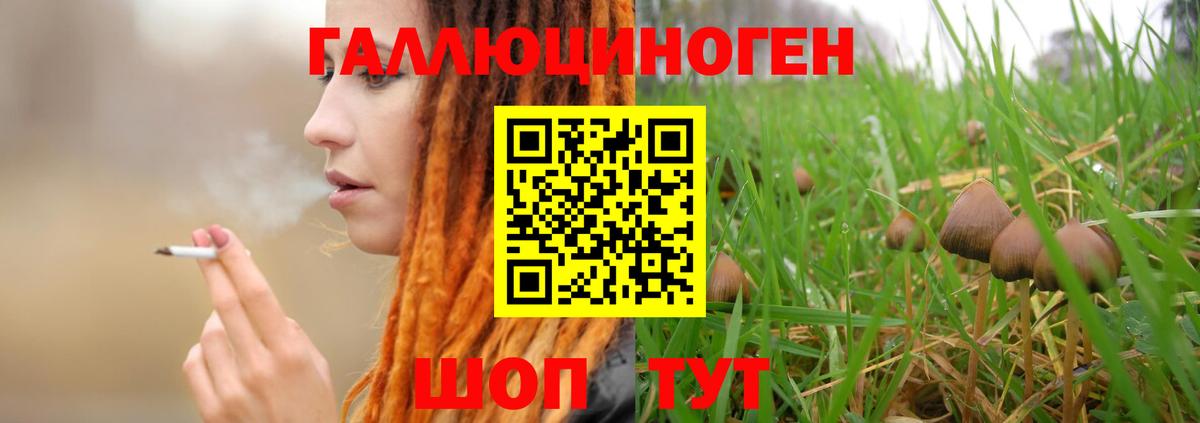 Галлюциногенные грибы прущие грибы  Вход с VPN  Холмск 